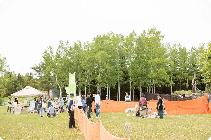 北海道ドッグフェスタの特設ドッグランの様子
