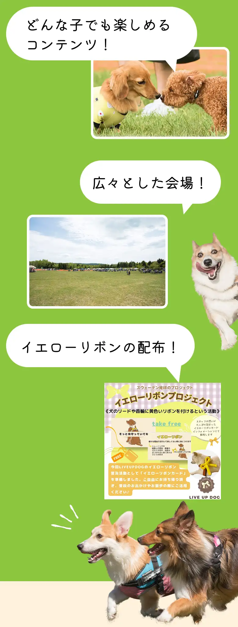 どんな子でも楽しめるコンテンツ・広々とした会場・イエローリボンの配布をしている様子