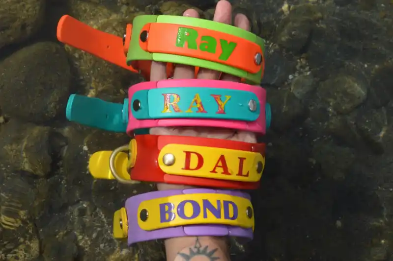 bondのメイン画像