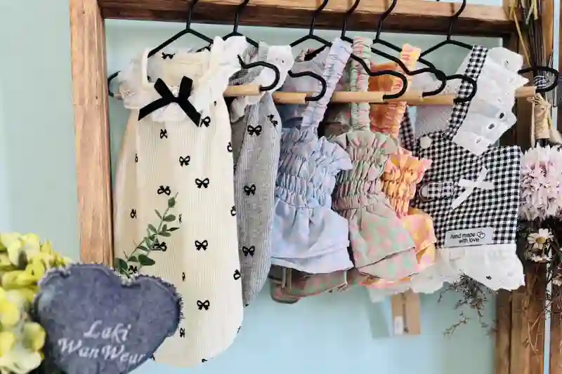 Laki_WanWearのメイン画像