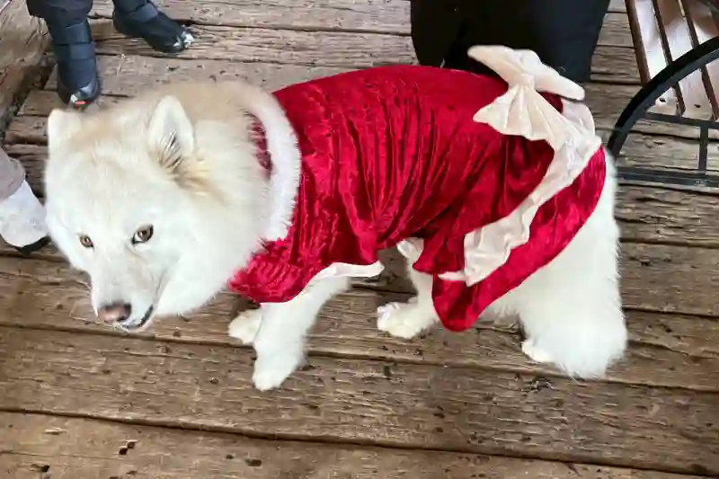 Maro's soap & wearのメイン画像