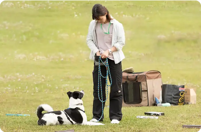 北海道ドッグフェスタのトリーツサーチ体験の様子