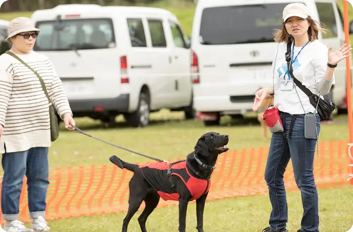 北海道ドッグフェスタのトレーニング体験の様子