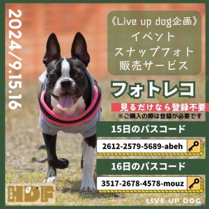 『イベントスナップ』 販売サービスご案内