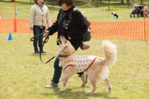 9/15.16　HDF【体験イベントのご案内】