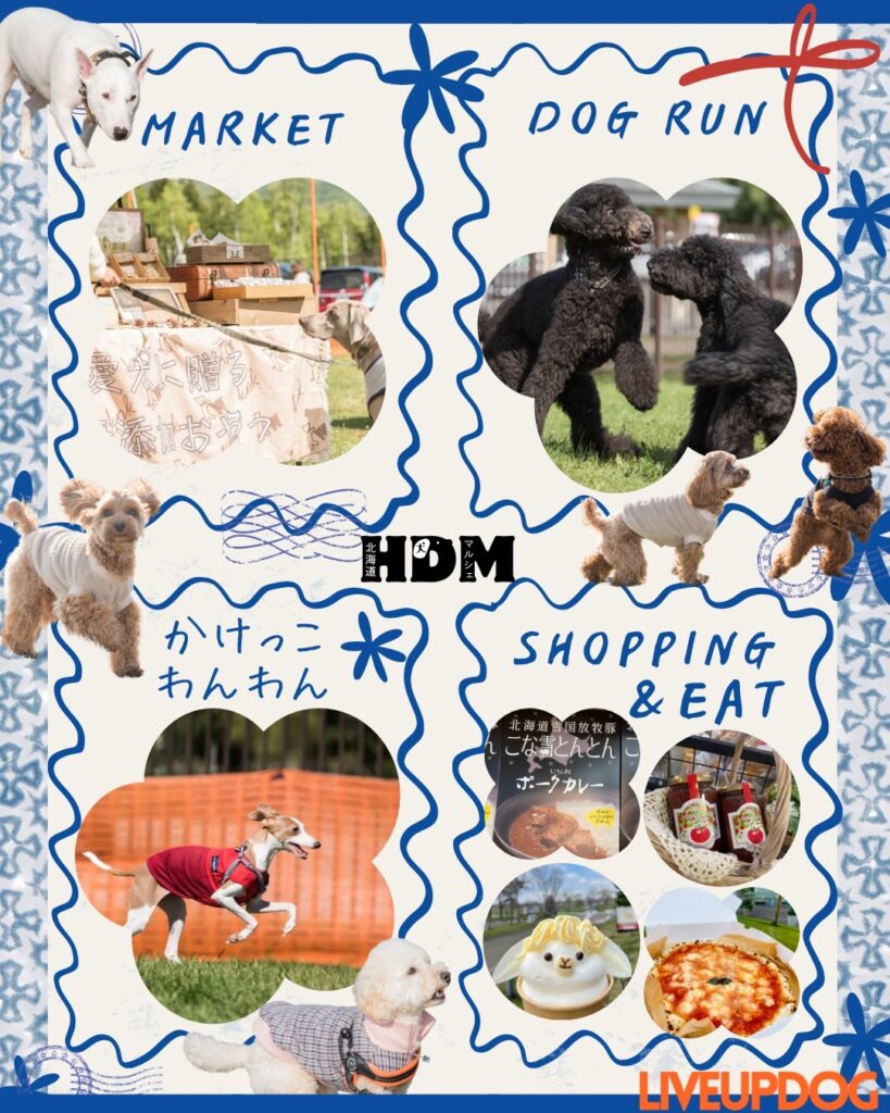 北海道ドッグマルシェ2025.11 募集開始　２ページ目