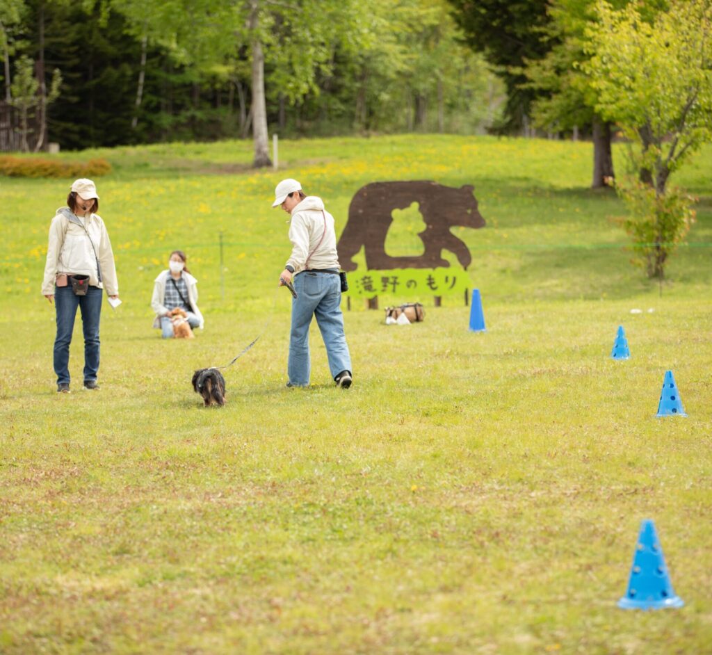 北海道ドッグフェスタのトレーニング体験の様子