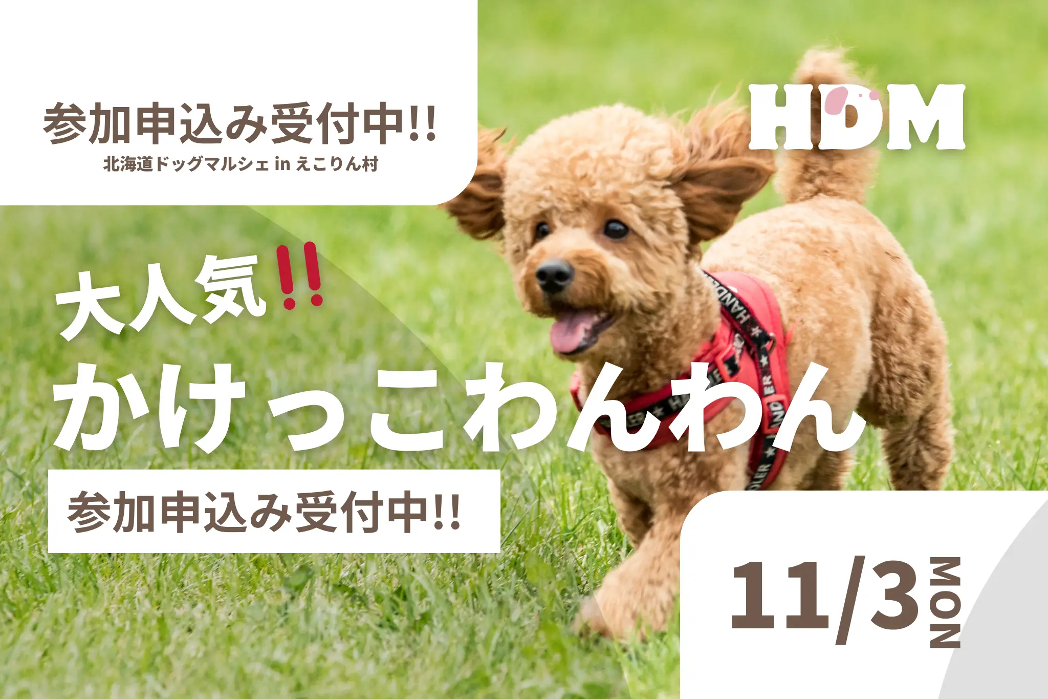 わんわんさん返品のことでききたいことがあるのでコメントお願いします わんわんフェスタ in あいな里山公園 【兵庫県神戸市】 2025年5月4日