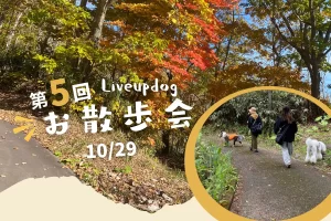 【第５回】犬と一緒に秋の森散歩｜滝野すずらん公園・トレーナー同行のお散歩イベント